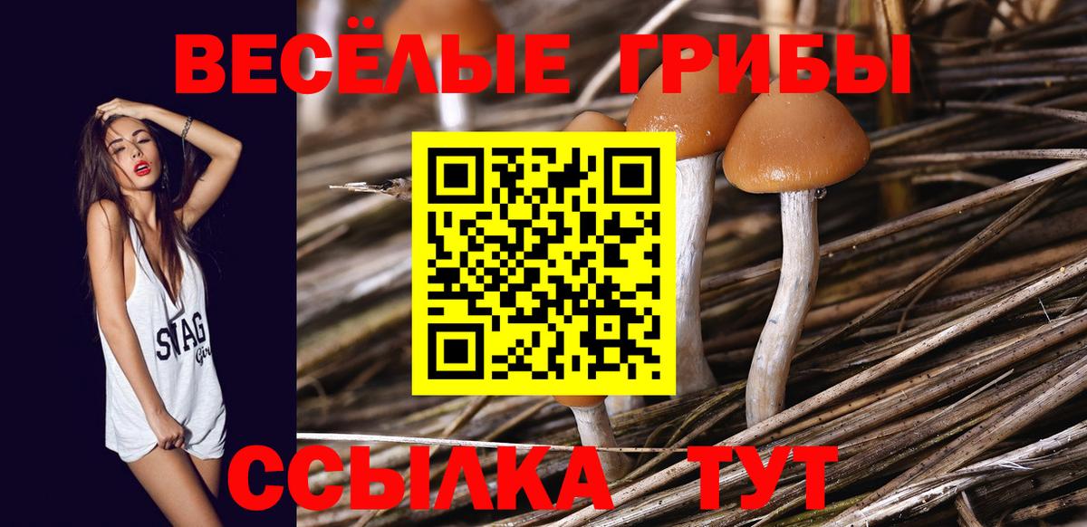 Галлюциногенные грибы Magic Shrooms  Галлюциногенные грибы MAGIC MUSHROOMS  Вход с VPN  цена   Арсеньев 
